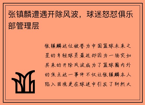 张镇麟遭遇开除风波，球迷怒怼俱乐部管理层